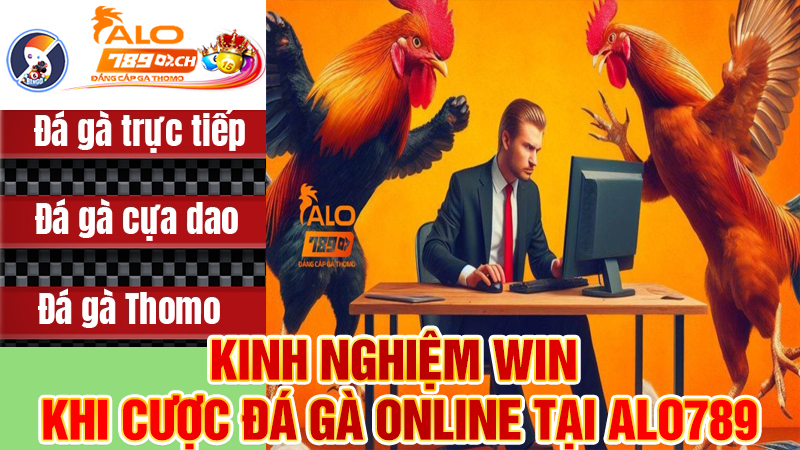 Kinh nghiệm Win khi cược Đá gà online tại Alo789