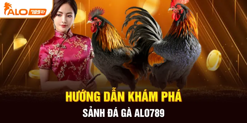 Hướng dẫn khám phá sảnh đá gà ALO789